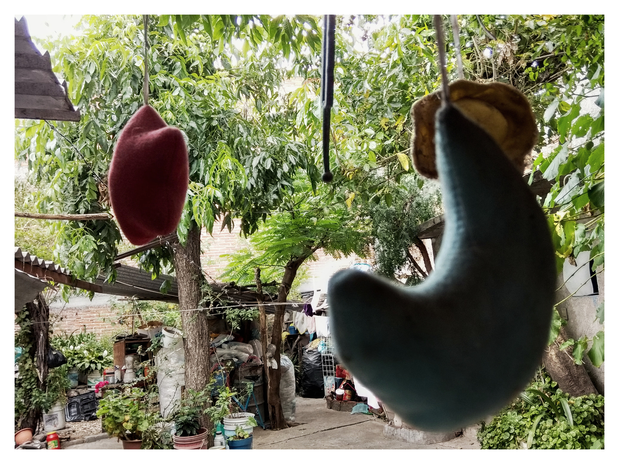 Xiaomi Redmi Note 5A sample photo. Star park photography