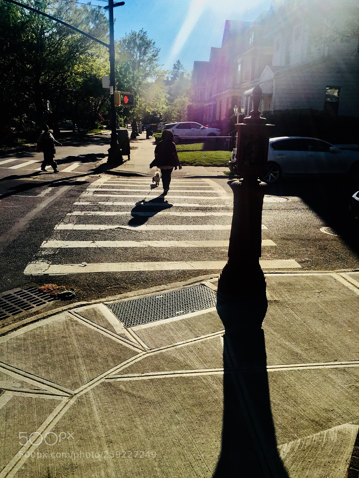 Apple iPhone 6 Plus sample photo. “crosswalk shadow” photography