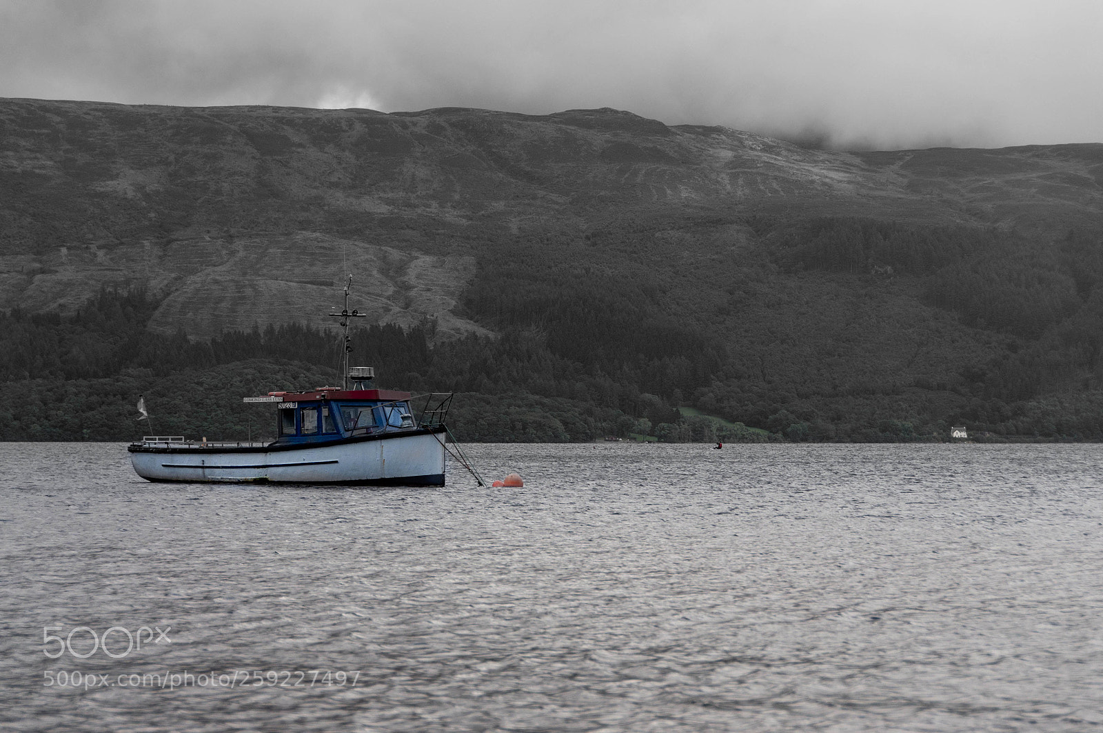 Nikon D90 sample photo. On the water under photography