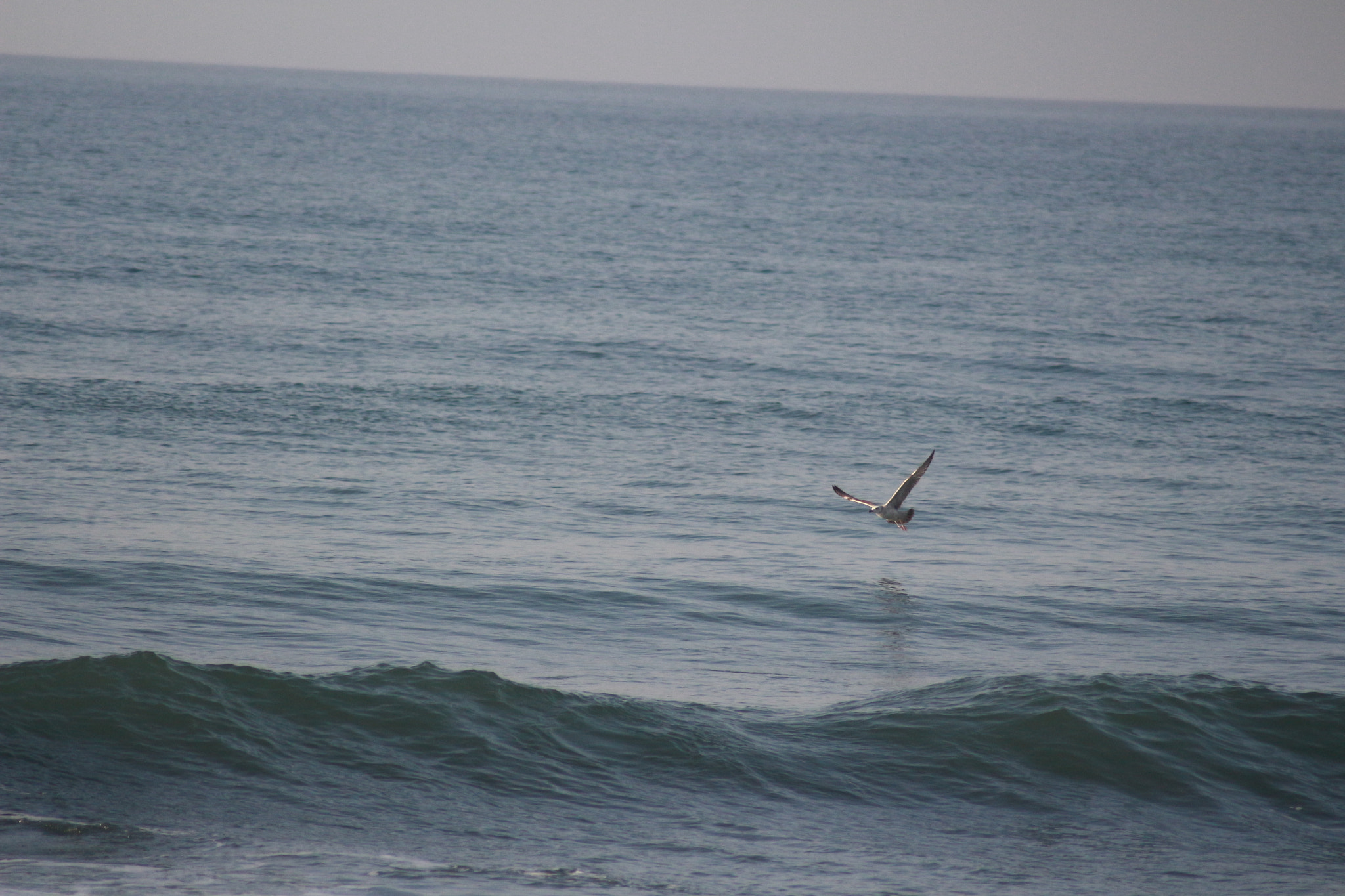 Canon EOS 700D (EOS Rebel T5i / EOS Kiss X7i) sample photo. Fishing photography