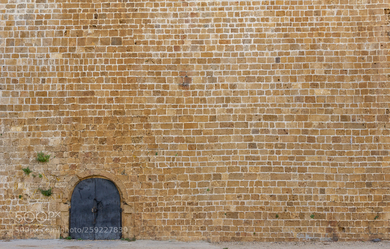 Sony a6000 sample photo. Old iron door in photography