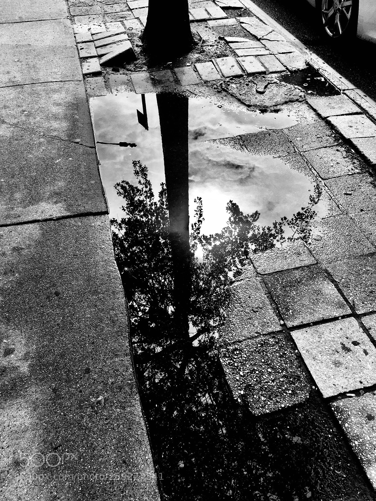 Apple iPhone 6 Plus sample photo. “upside down” photography