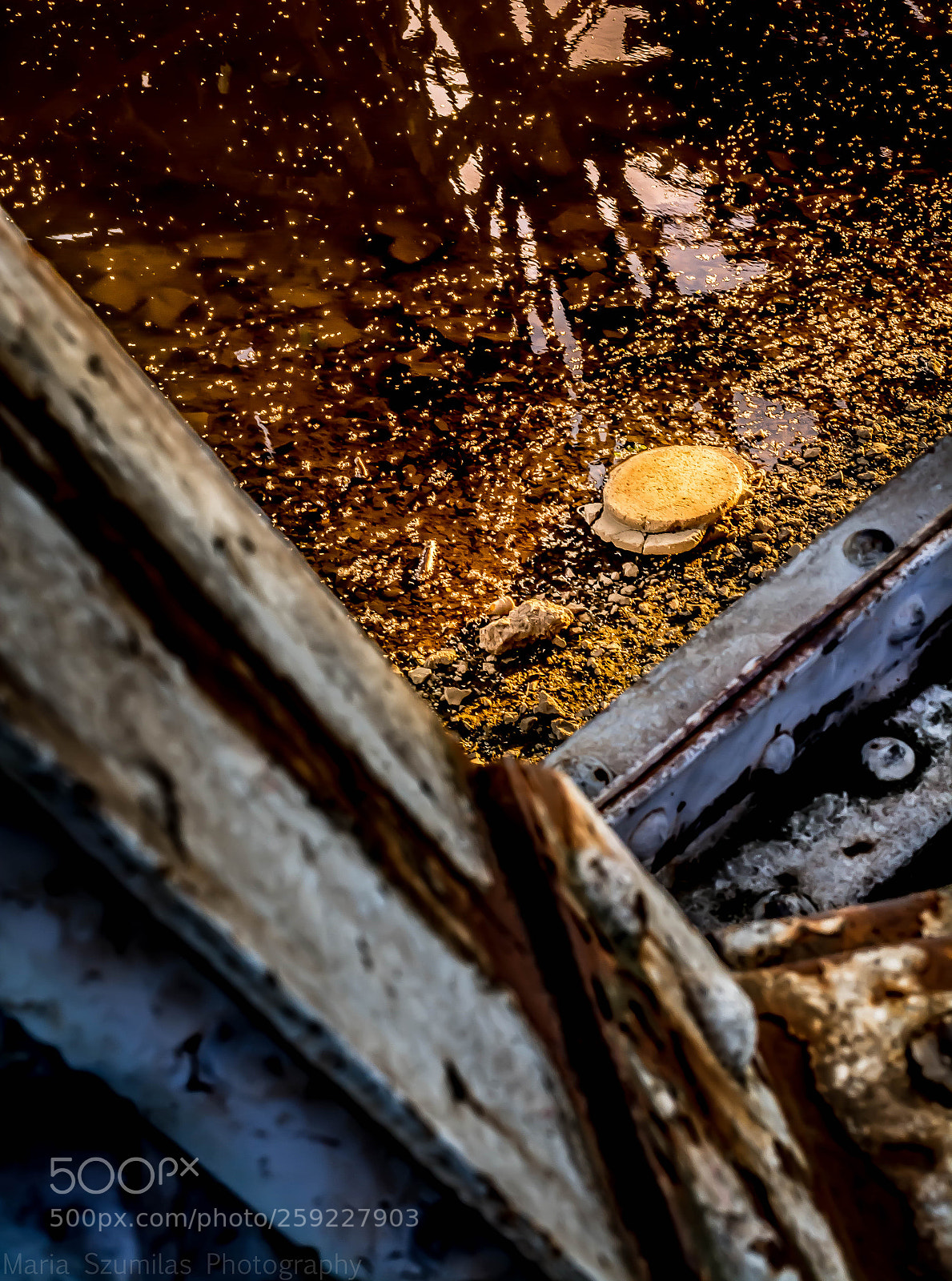Nikon D7100 sample photo. Safe place photography