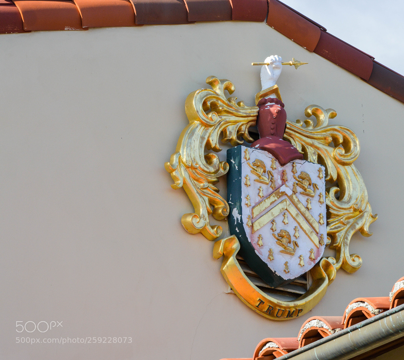 Nikon D3200 sample photo. Trump family coat of photography