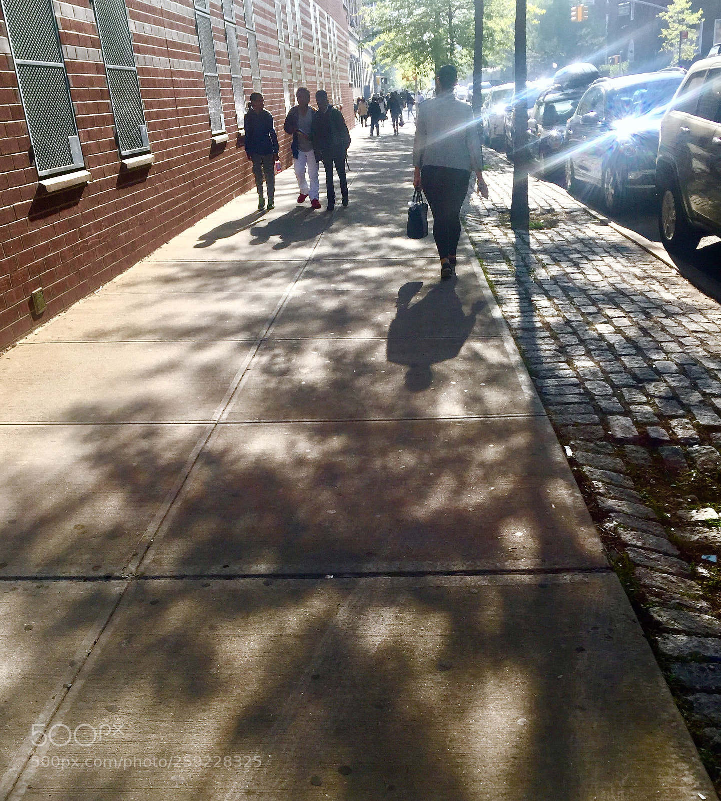 Apple iPhone 6 Plus sample photo. “morning shadows & light reflected” photography