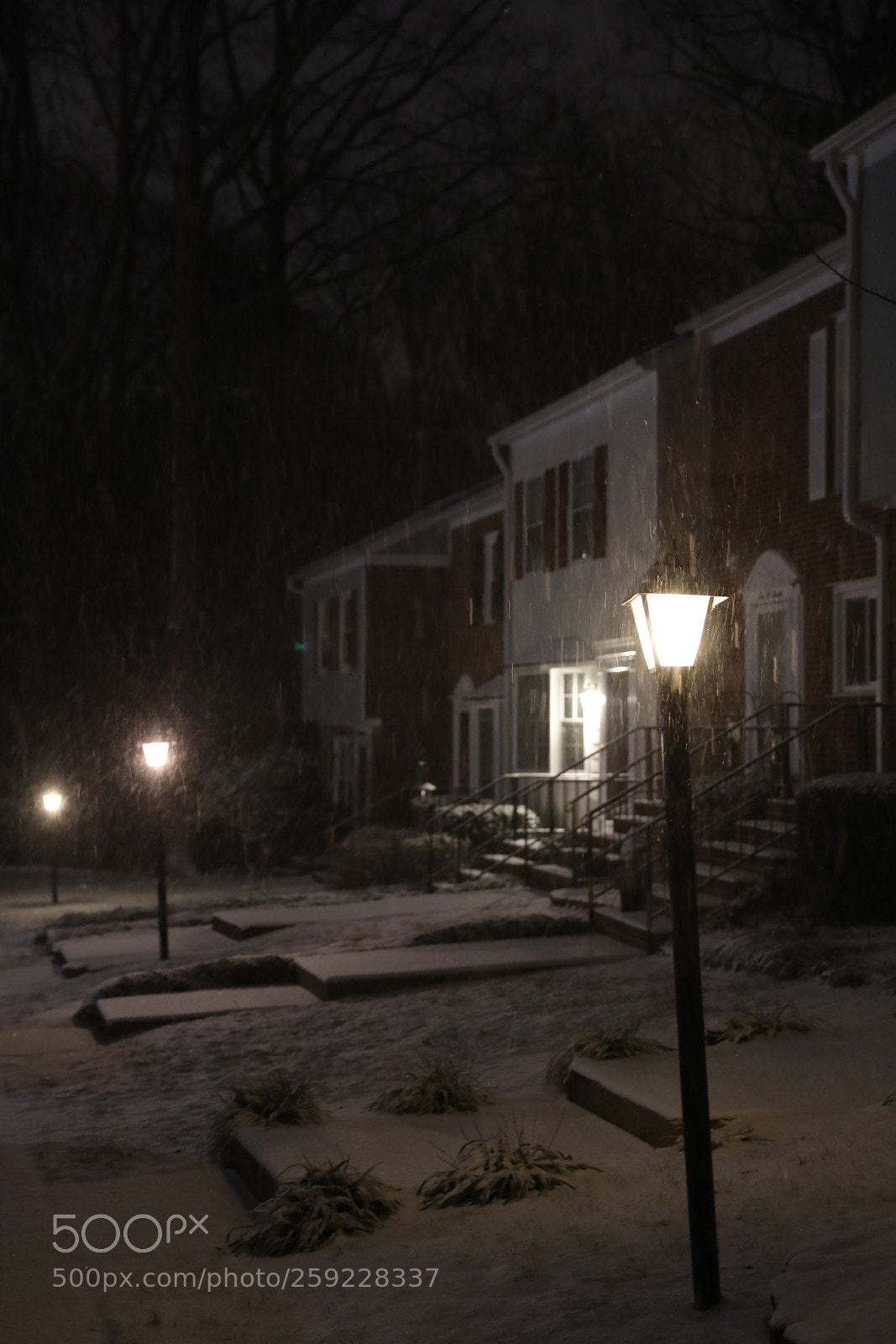 Canon EOS 5D Mark IV sample photo. Winter is going :) photography