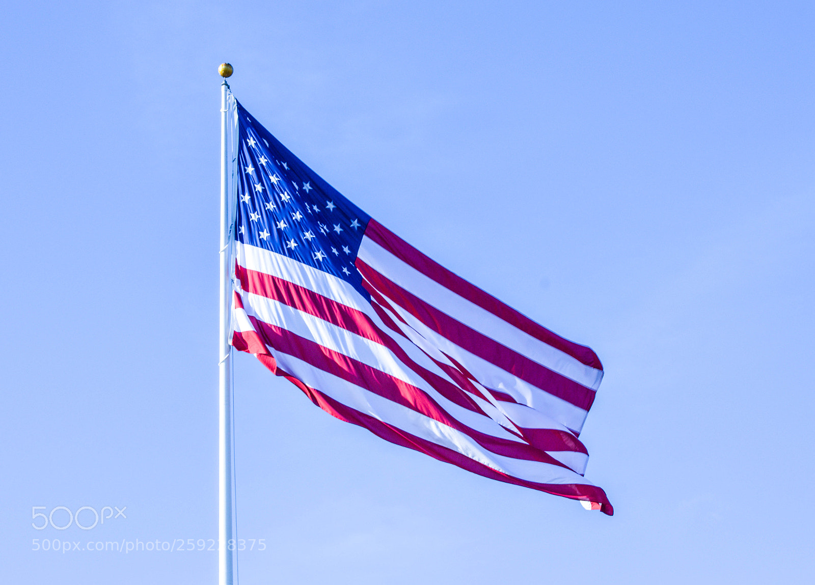 Nikon D3200 sample photo. Trump flag controversy photography
