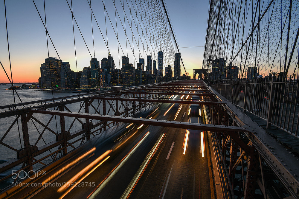 Nikon D750 sample photo. Lights of new york photography