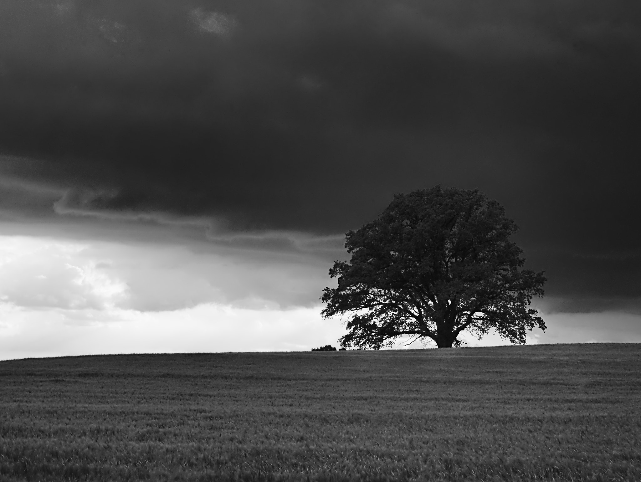 Panasonic DMC-G81 sample photo. Stormy weather bw photography