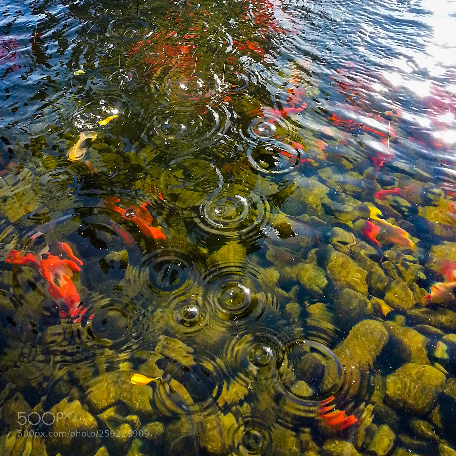 Samsung Galaxy S3 sample photo. Under the fountain photography