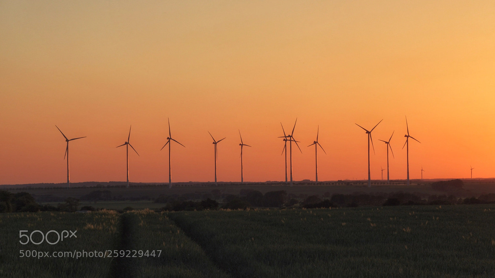 Nikon D500 sample photo. After sunset  photography