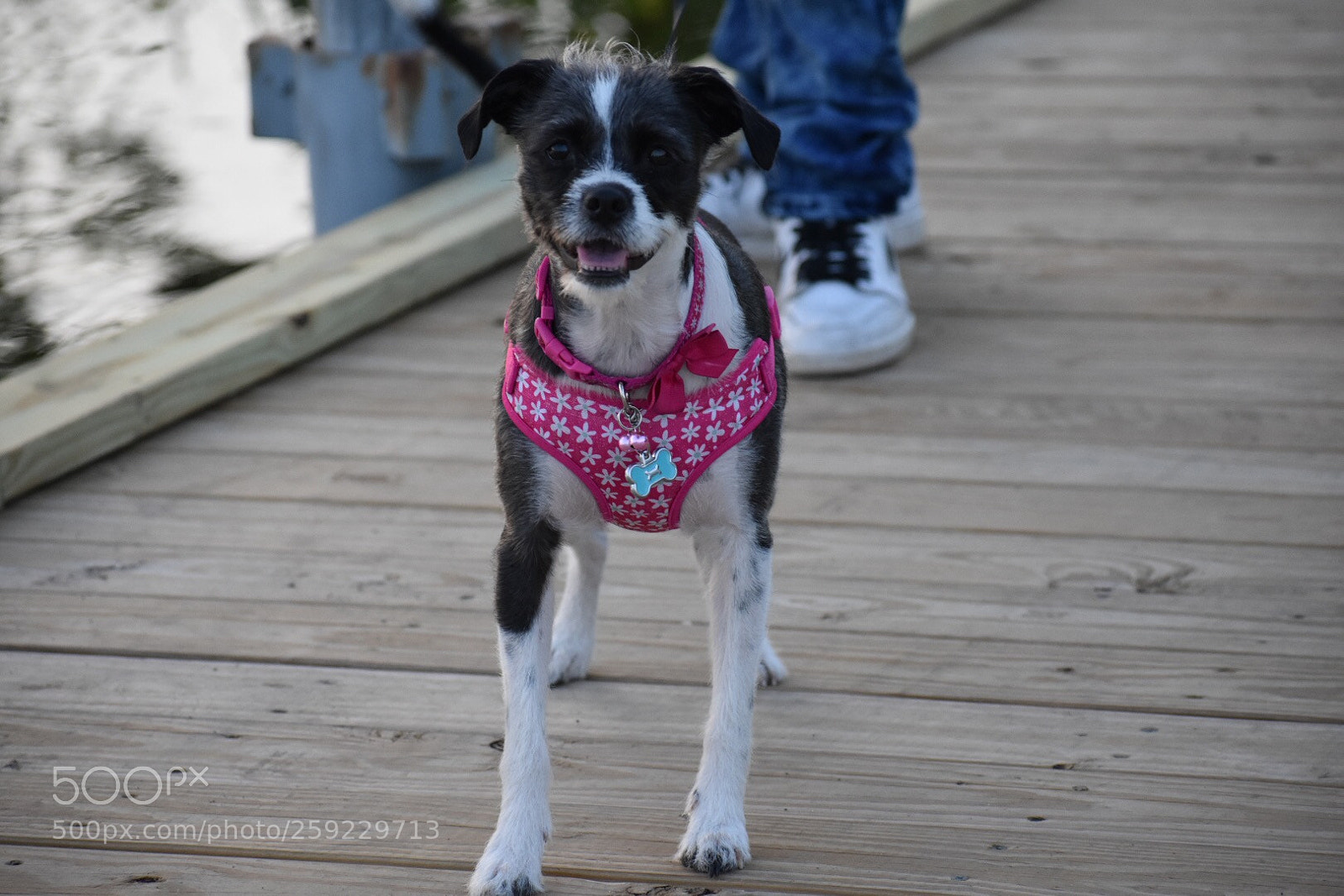 Nikon D3400 sample photo. Little one. photography