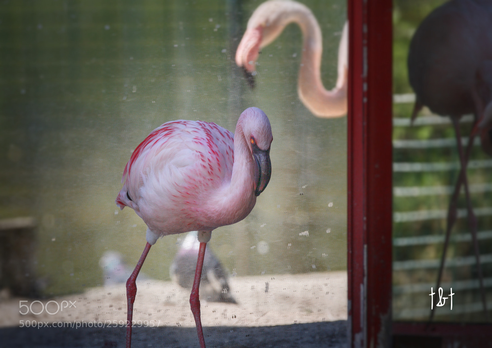Canon EOS 7D sample photo. Untitled photography