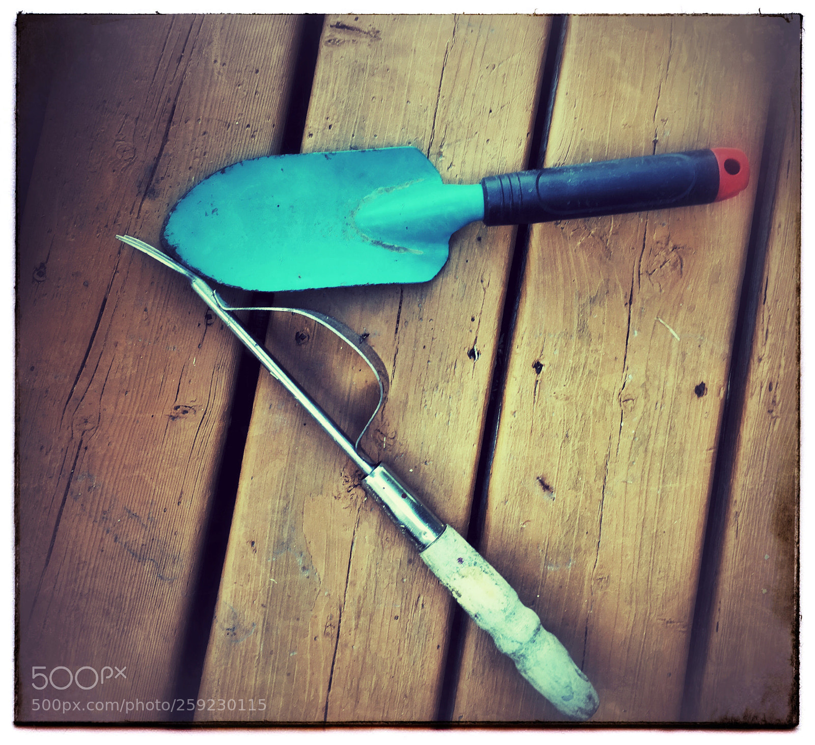 Apple iPhone SE sample photo. Blue gardening tools. photography