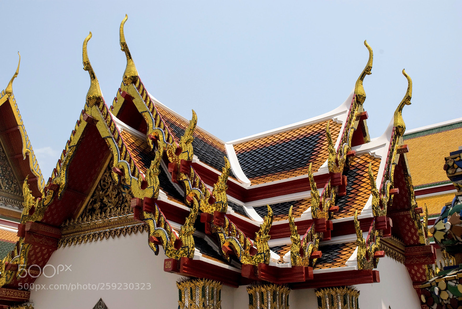 Nikon D80 sample photo. Roof of wat pho photography