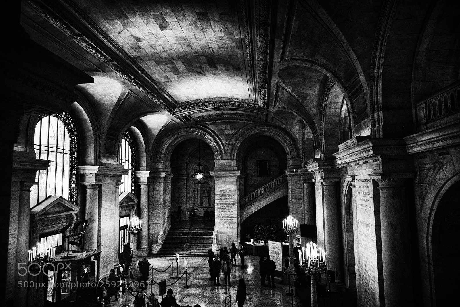 Nikon D810 sample photo. New york public library photography