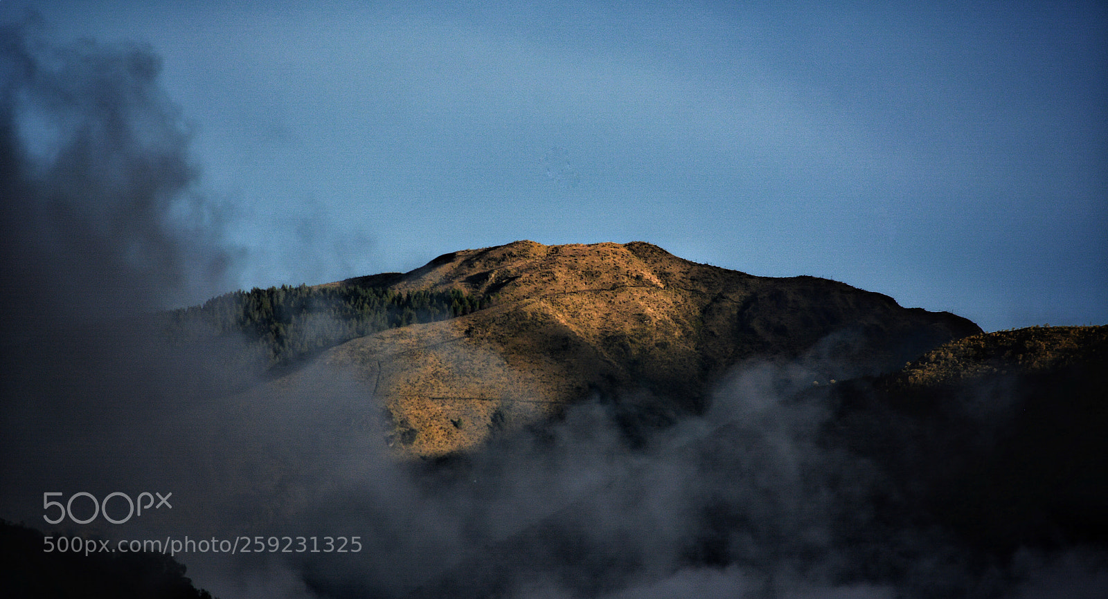 Nikon D7100 sample photo. Morning photography