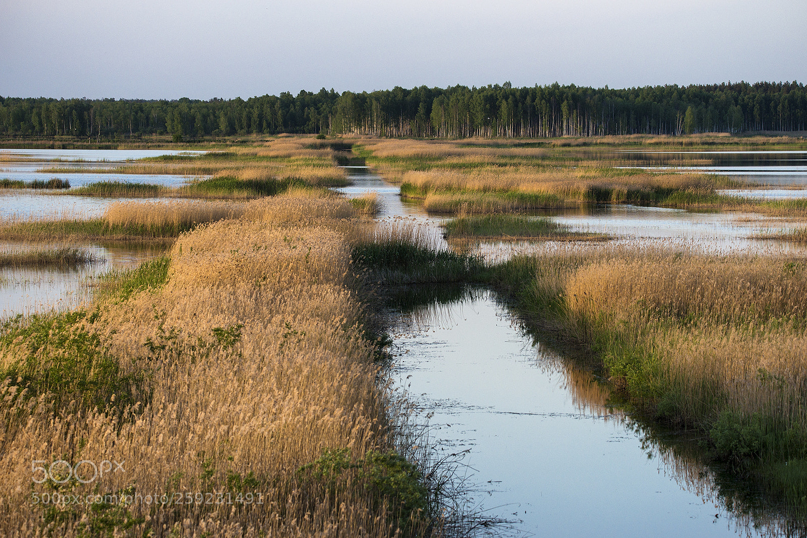 Sony SLT-A99V sample photo. ..... photography