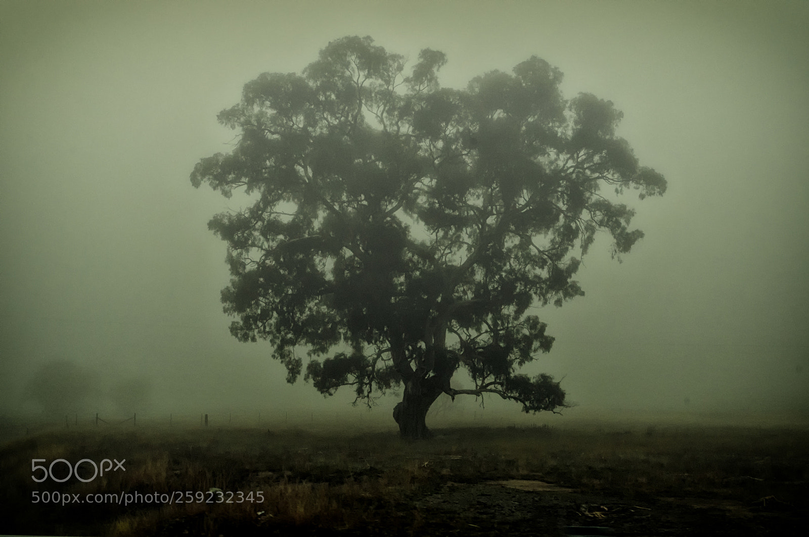 Nikon D3200 sample photo. Mistree photography
