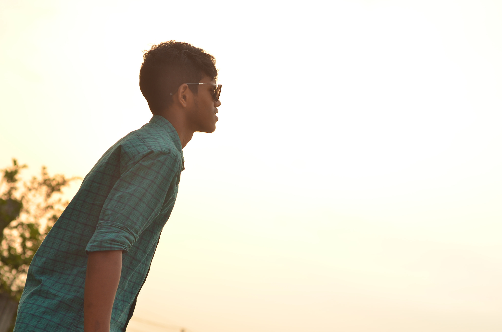 Nikon D7000 + Nikon AF Nikkor 50mm F1.8D sample photo. Msf photography