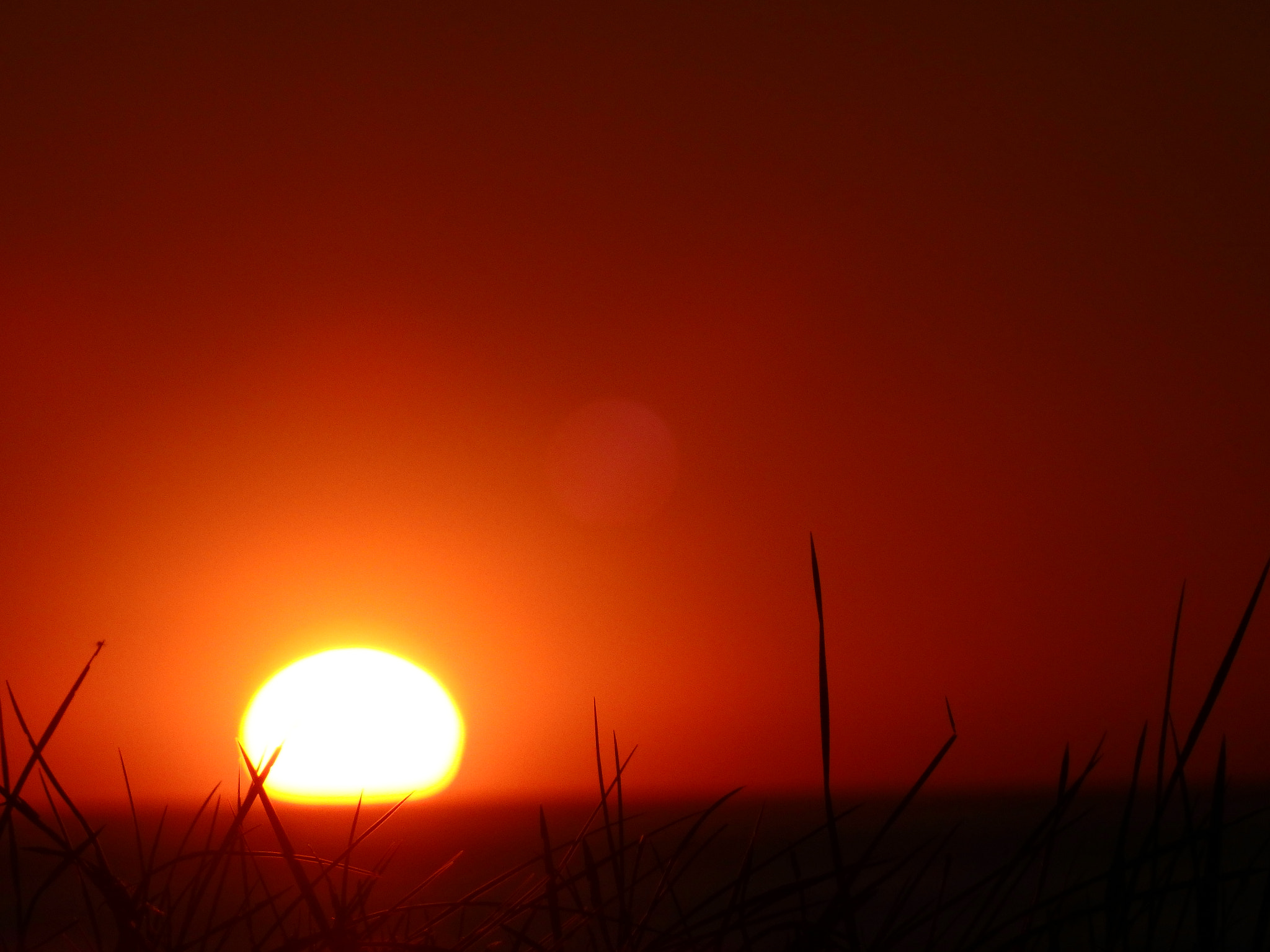 Olympus SH-2 sample photo. Red and brown sky spo photography