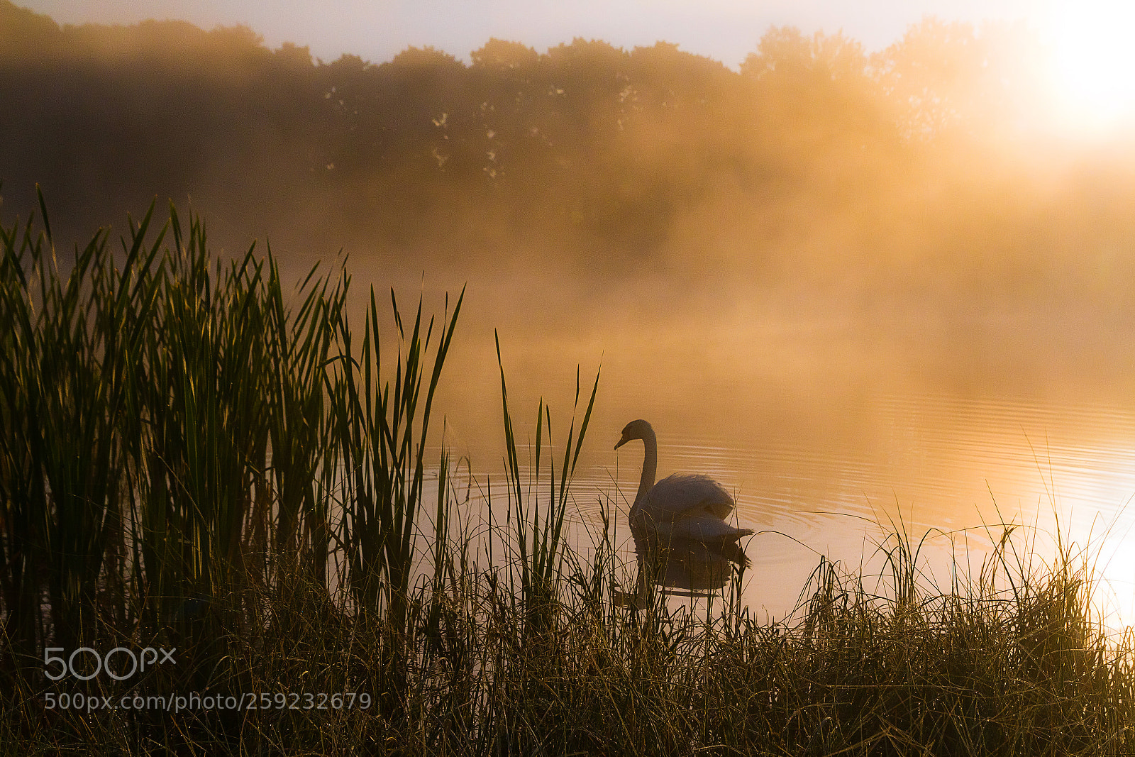 Canon EOS 7D sample photo. Warm may morning photography