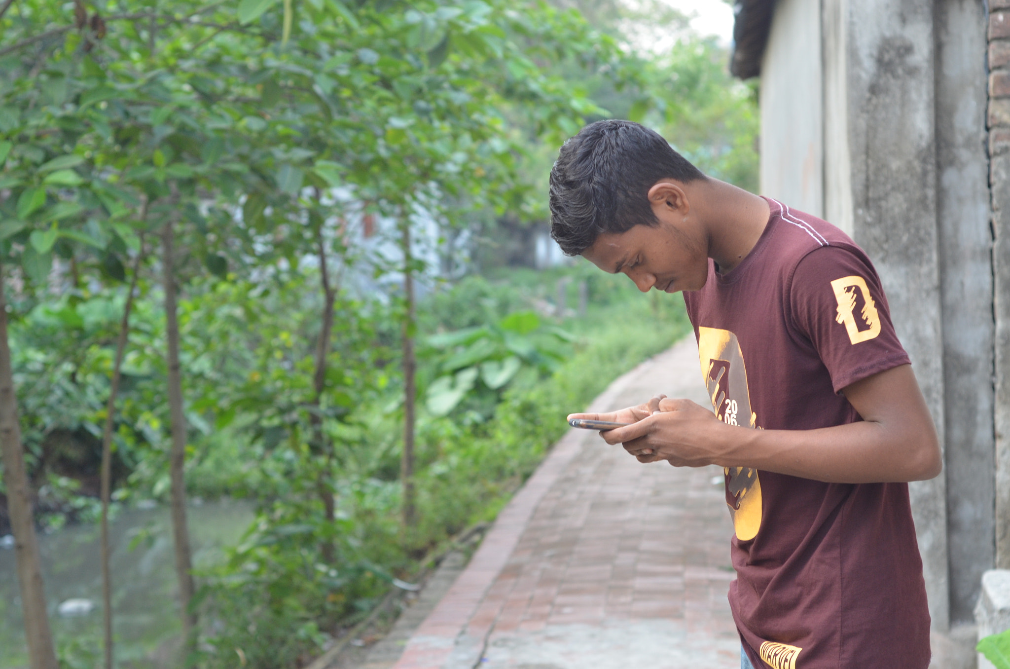 Nikon D7000 + Nikon AF Nikkor 50mm F1.8D sample photo. Msf photography