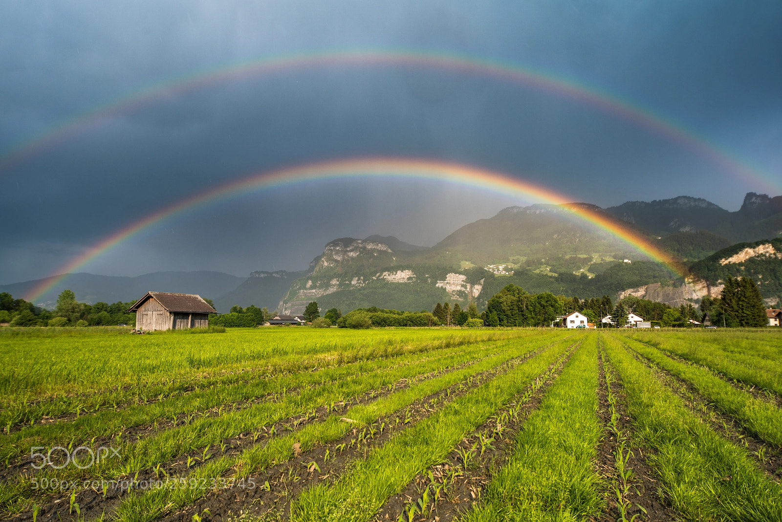 Nikon D750 sample photo. Wonderful world photography