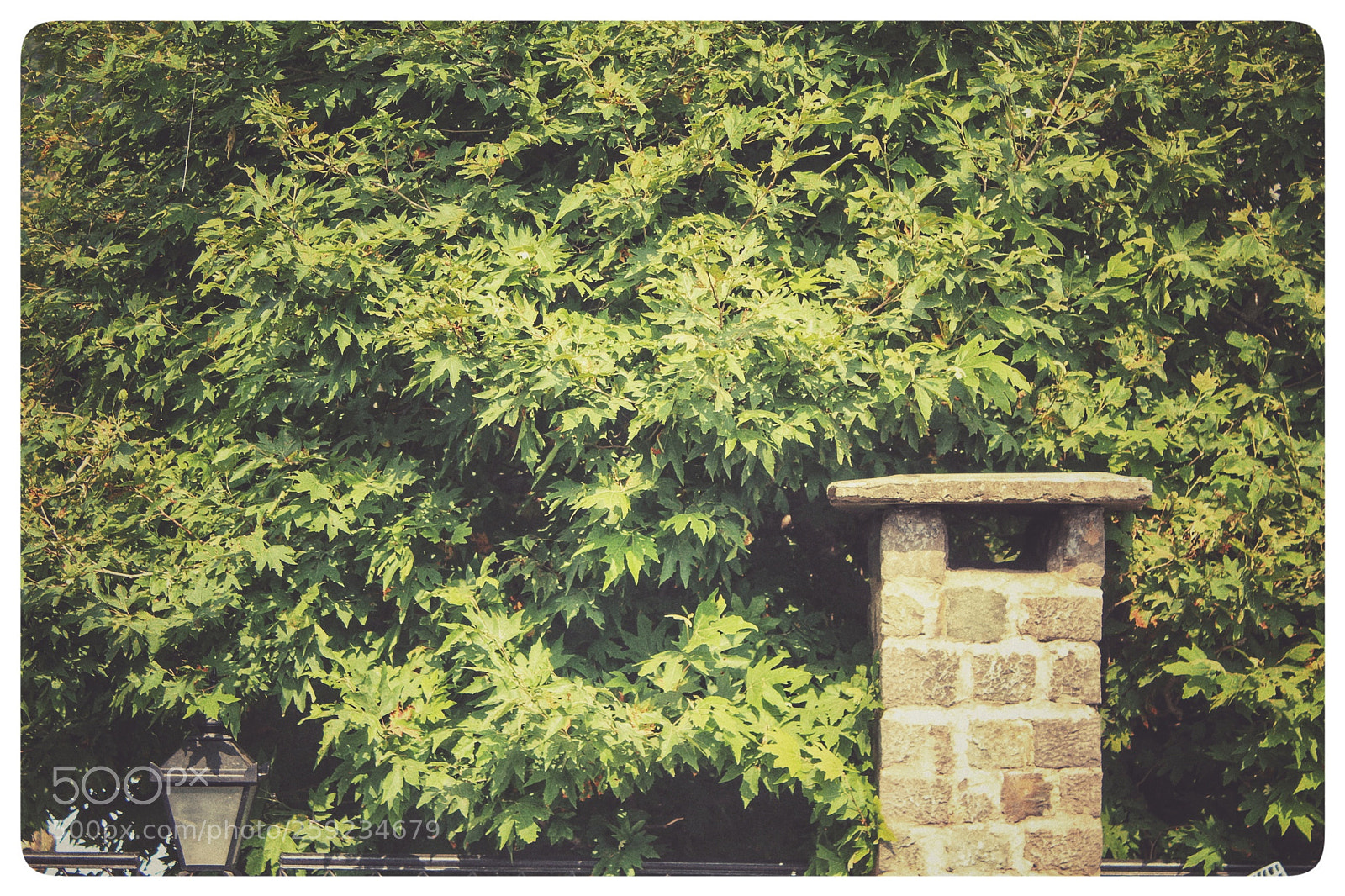 Canon EOS 1200D (EOS Rebel T5 / EOS Kiss X70 / EOS Hi) sample photo. Chimney in my garden. photography