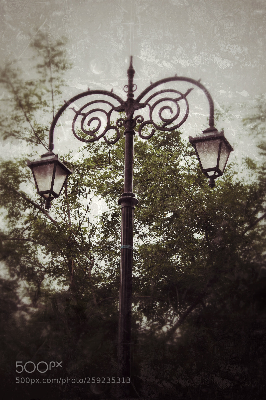 Canon EOS 1200D (EOS Rebel T5 / EOS Kiss X70 / EOS Hi) sample photo. Lamp post photography
