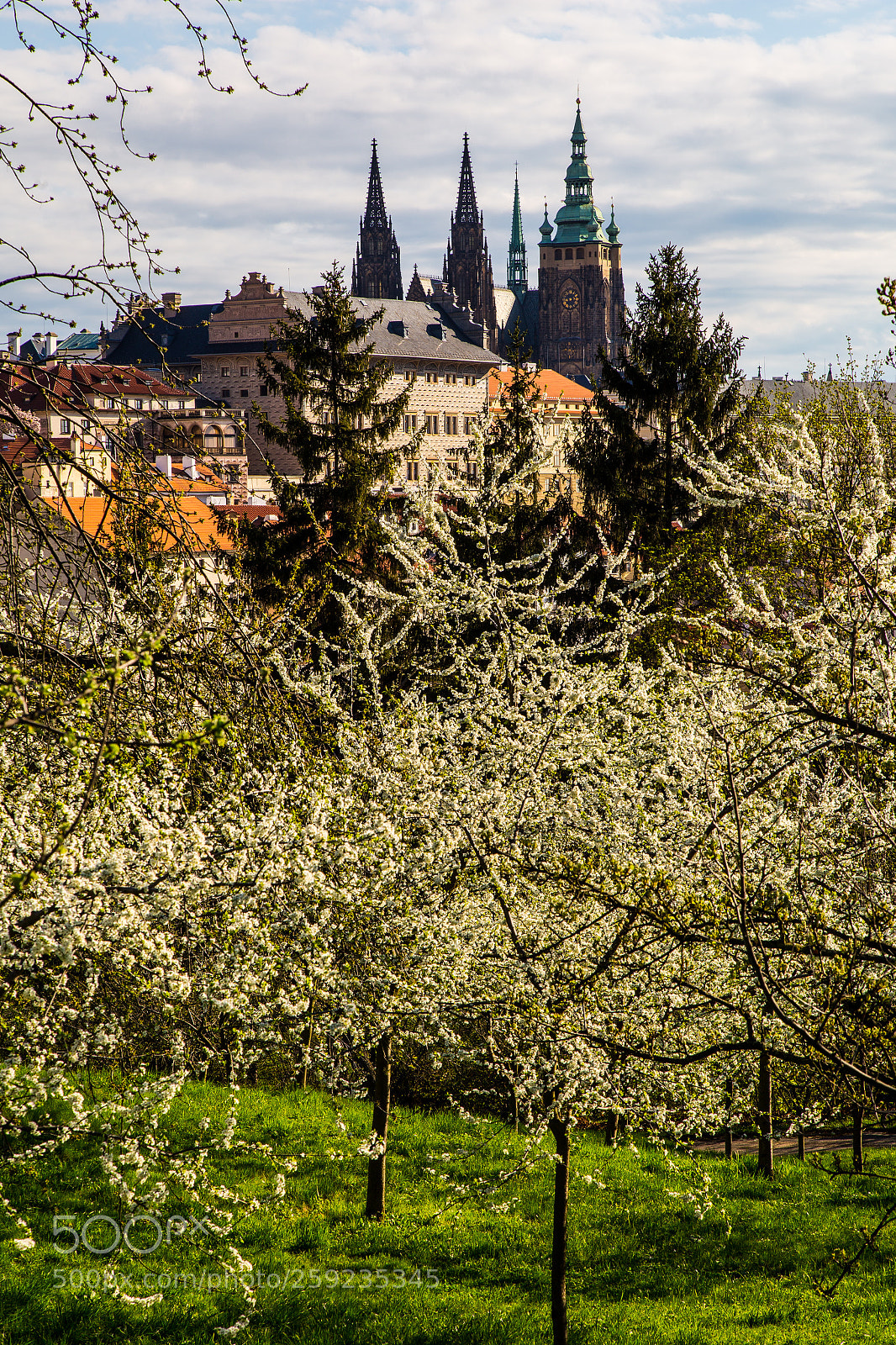 Canon EOS 6D sample photo. Spring photography