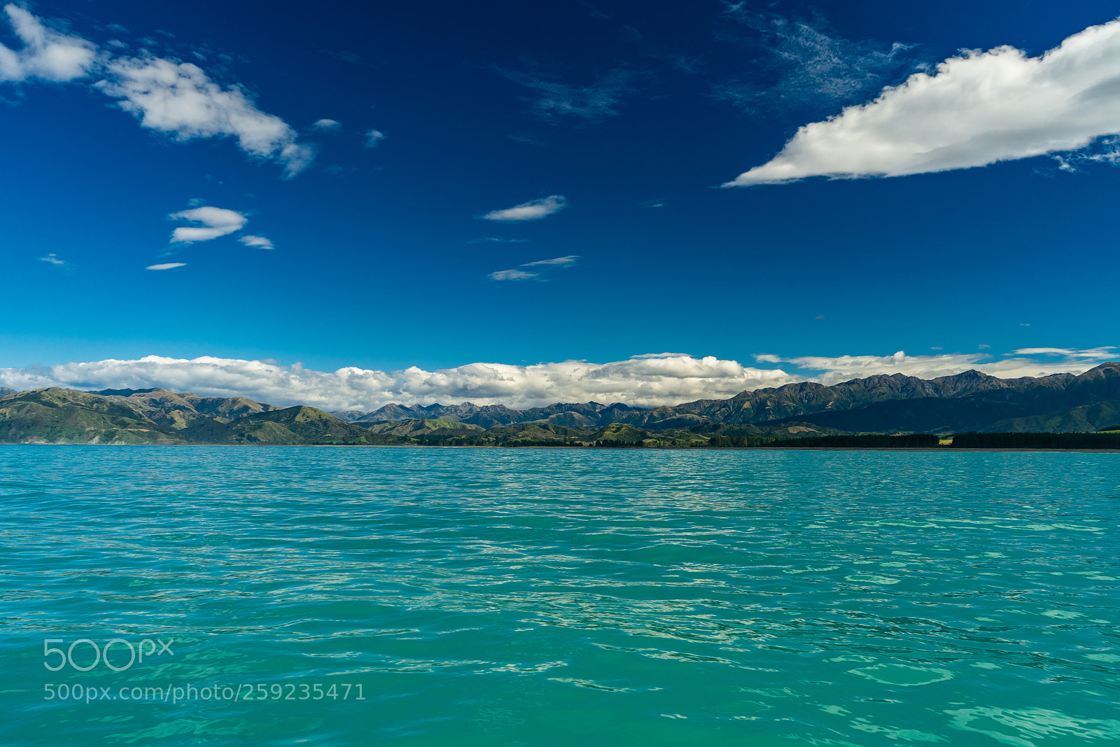 Sony a7R II sample photo. Kaikoura photography
