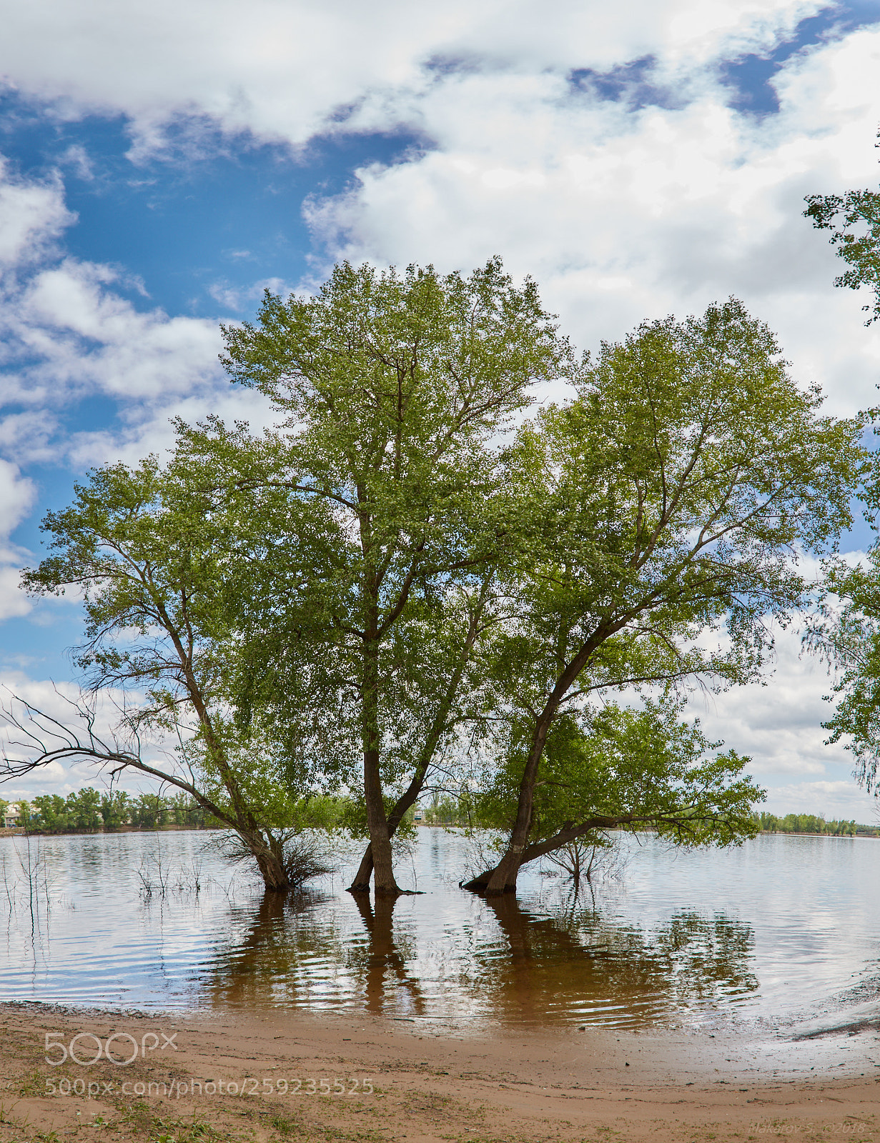 Canon EOS 6D sample photo. The volga-akhtuba floodplain photography