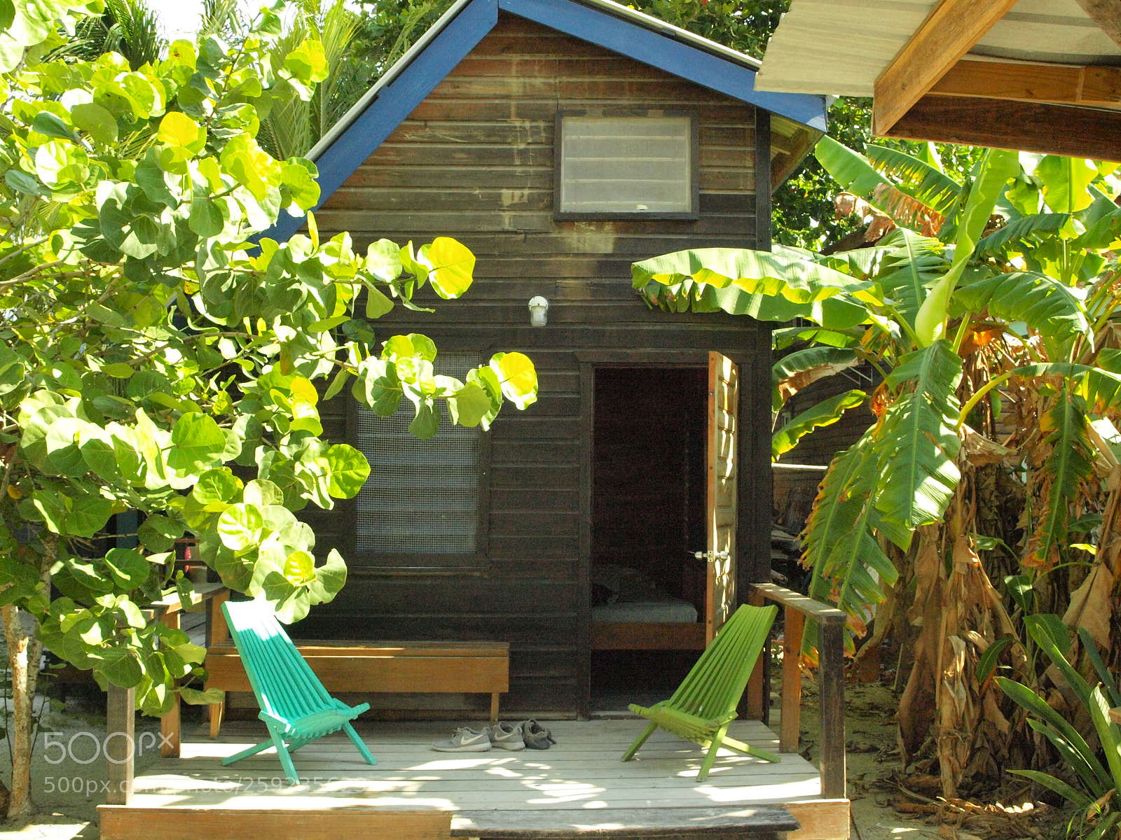 Olympus E-420 (EVOLT E-420) sample photo. Belize photography