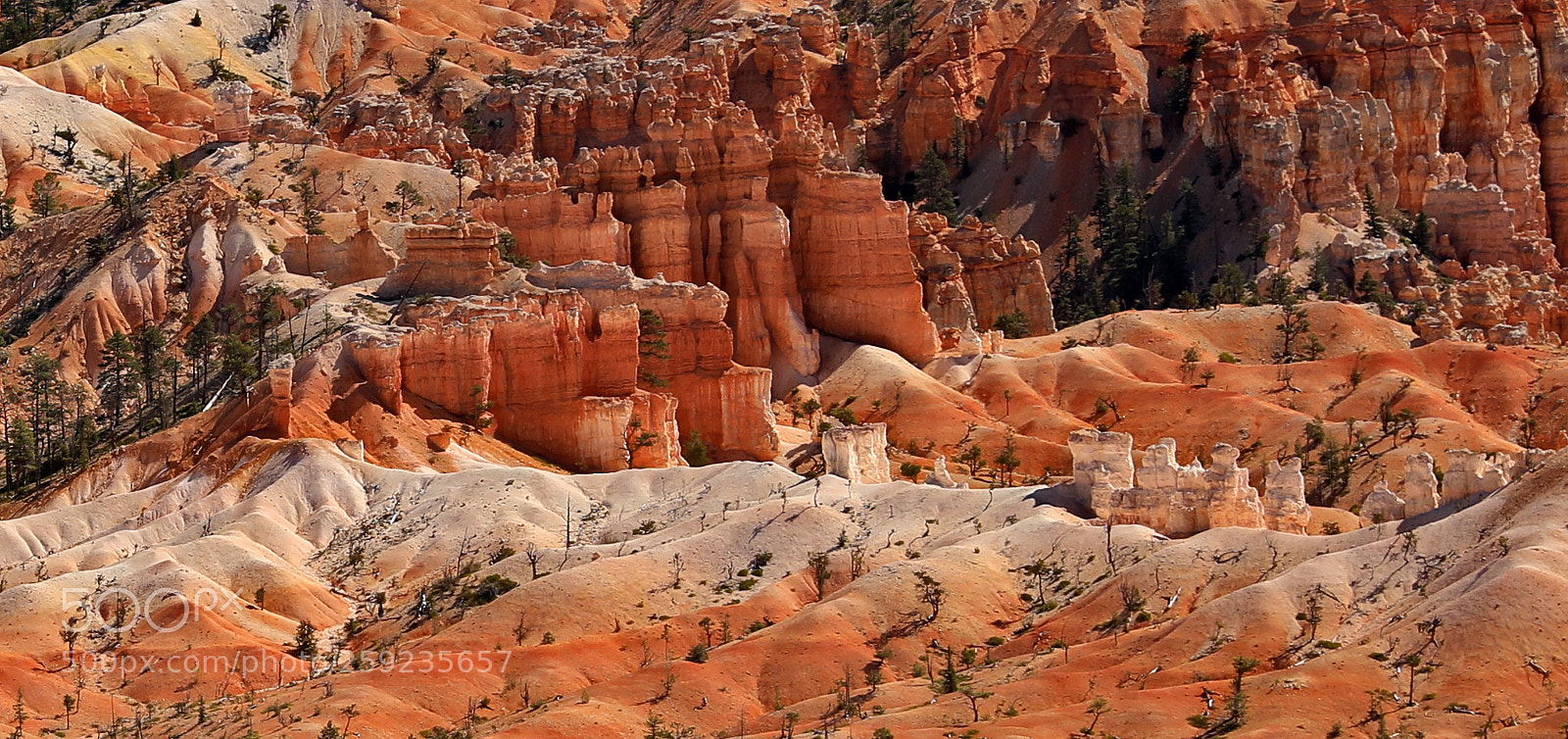 Canon EOS 5D Mark IV sample photo. Bryce photography
