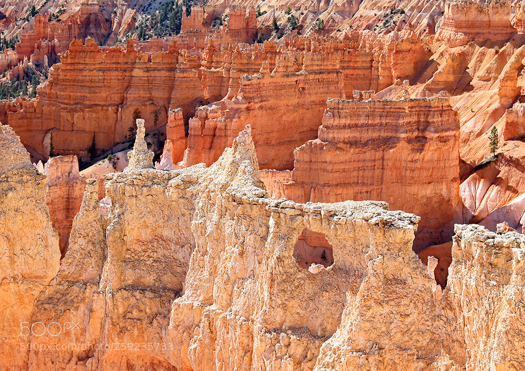 Canon EOS 5D Mark IV sample photo. Bryce canyon photography