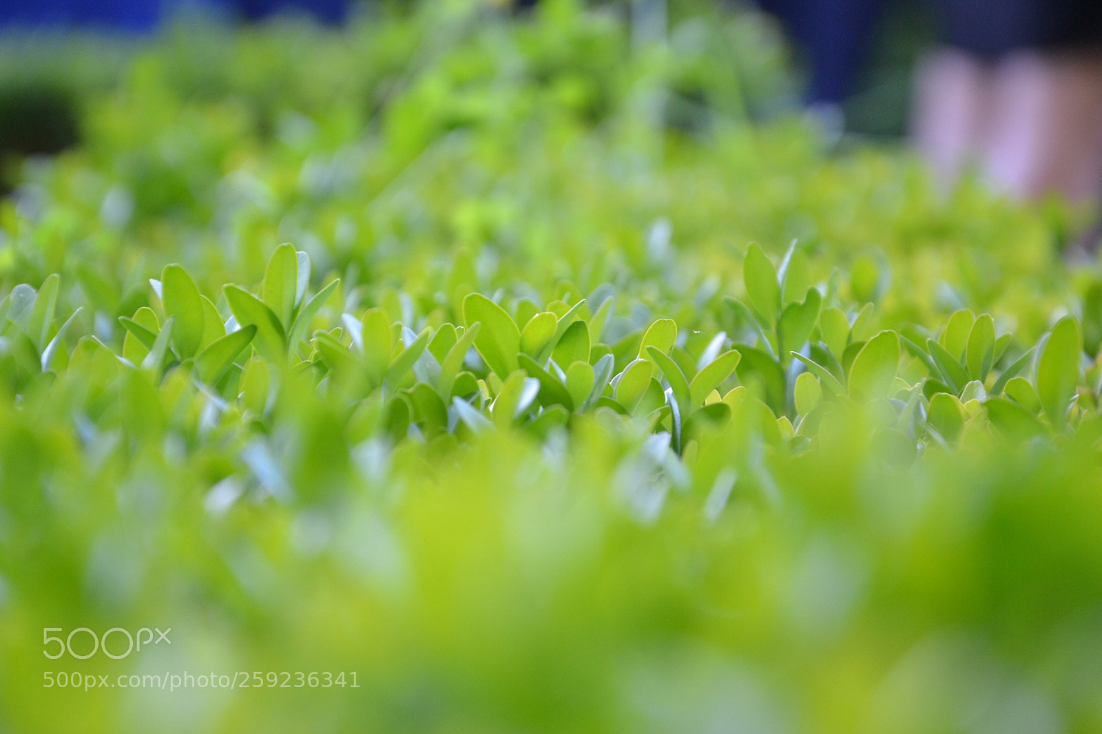 Nikon D3100 sample photo. Untitled photography