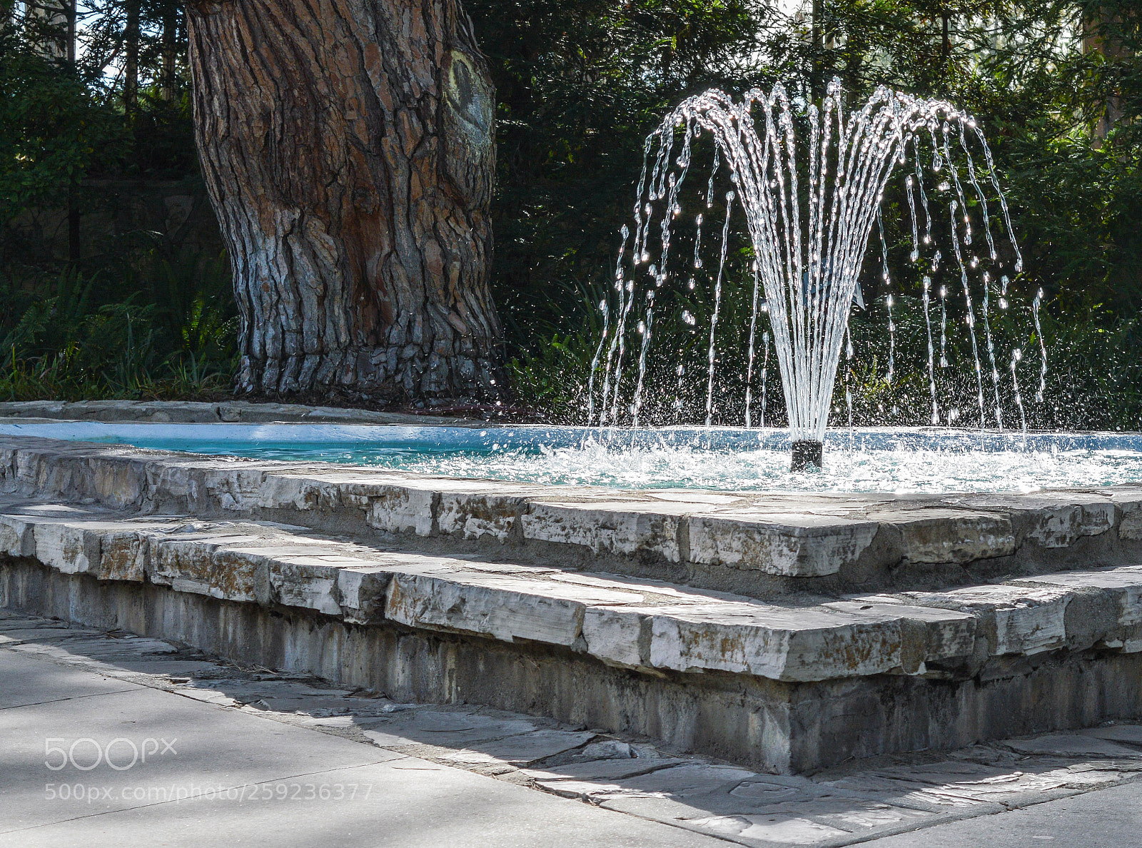 Nikon D3200 sample photo. Wayfarers chapel fountain photography