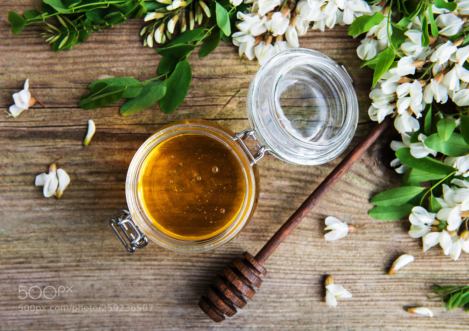 Nikon D750 sample photo. Honey with acacia blossoms photography