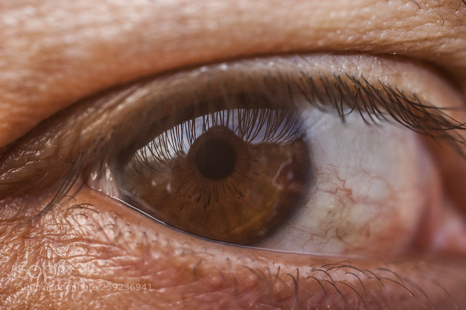 Sony Alpha DSLR-A350 sample photo. Untitled photography