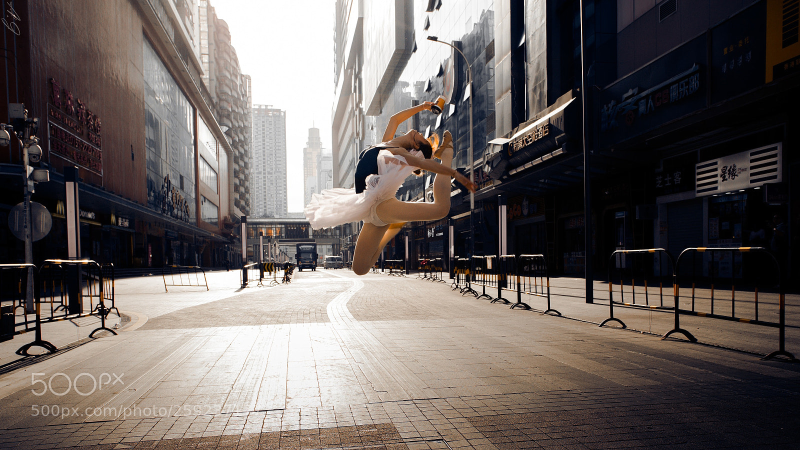 Canon EOS-1D X Mark II sample photo. Fly photography