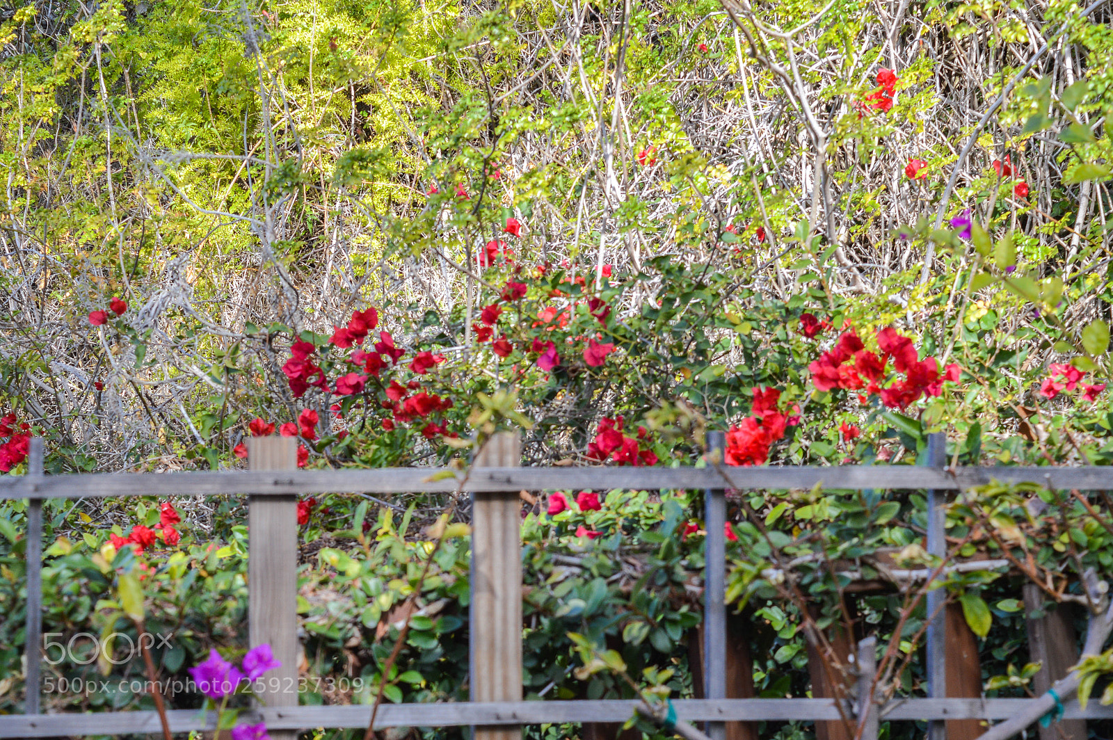Nikon D3200 sample photo. Wayfarer grounds photography