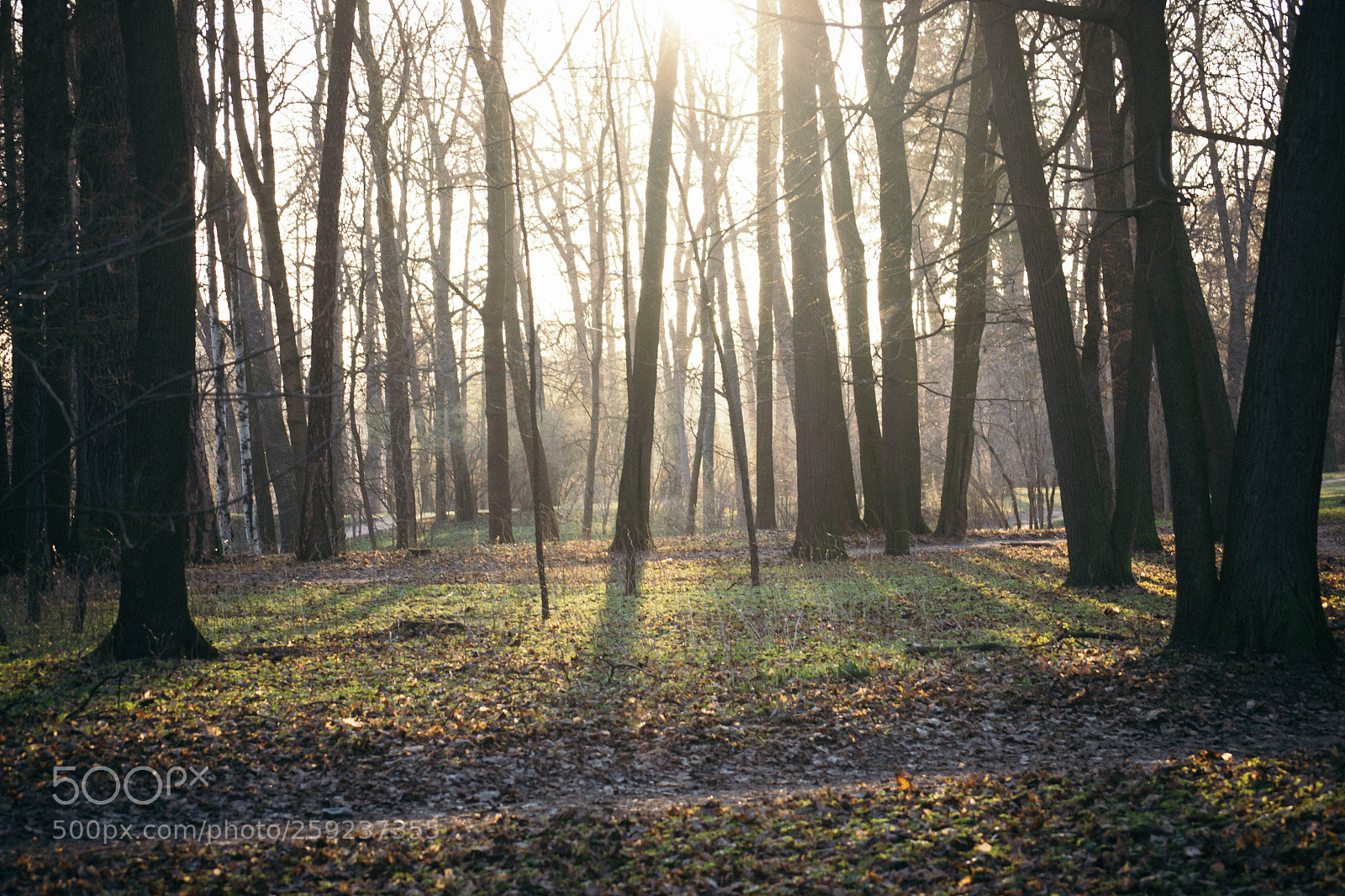 Nikon D3100 sample photo. Untitled photography
