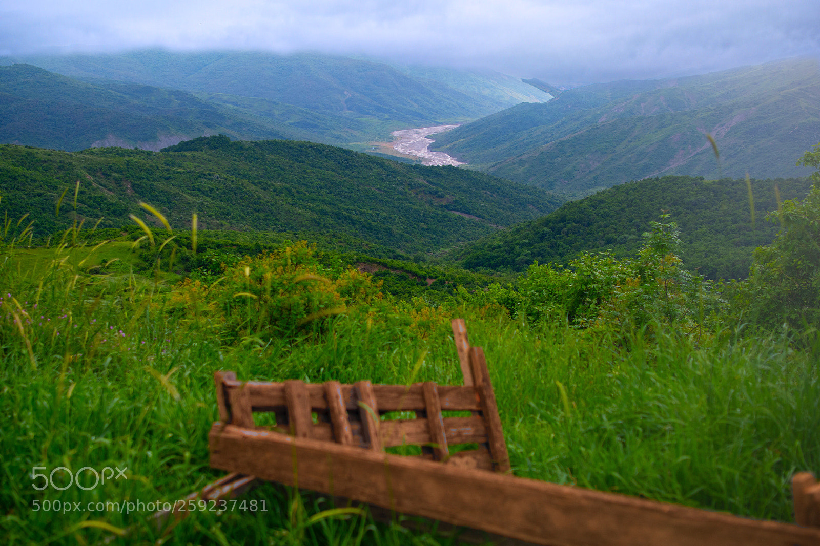 Nikon D7500 sample photo. ... the journey ... photography