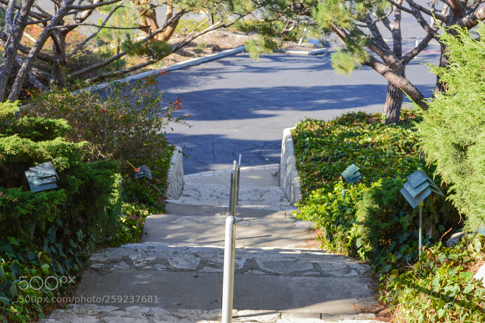 Nikon D3200 sample photo. Wayfarer grounds photography