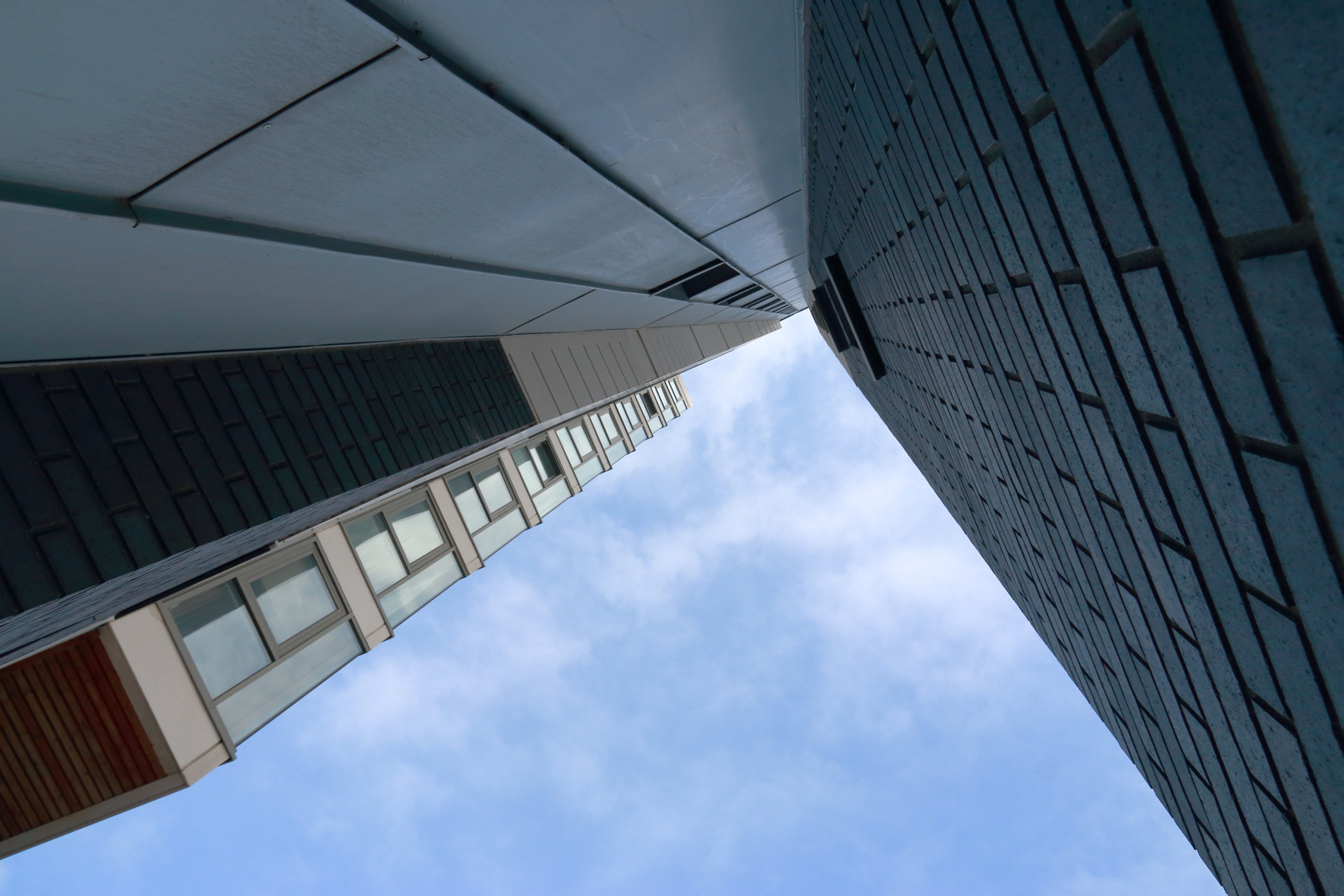 Canon EOS 70D sample photo. Reach for the sky photography