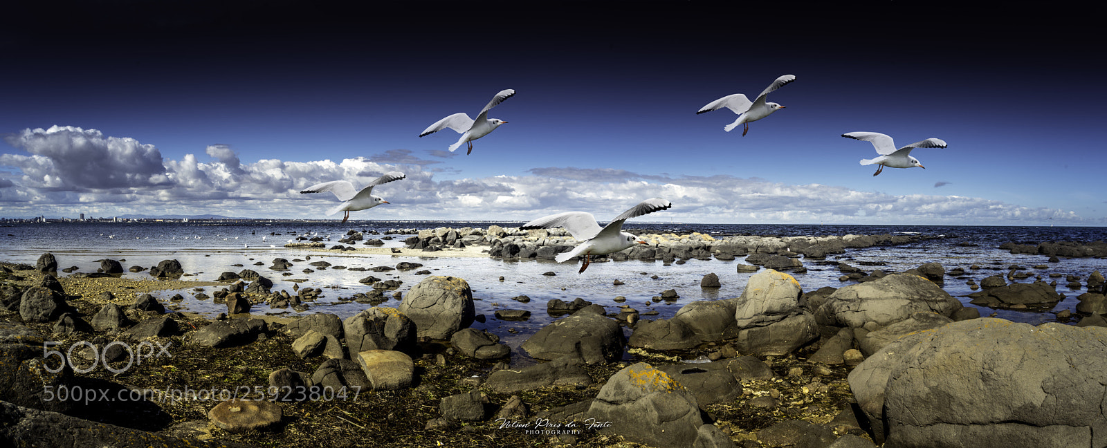 Pentax K-1 sample photo. Beach flight photography
