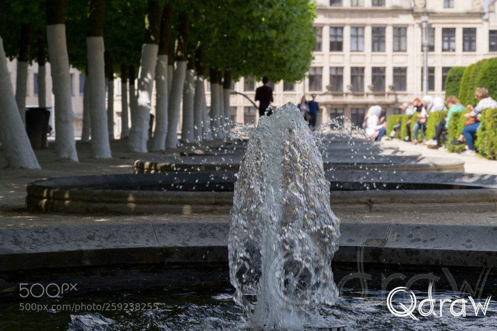 Sony SLT-A58 sample photo. Fontein kunstberg photography