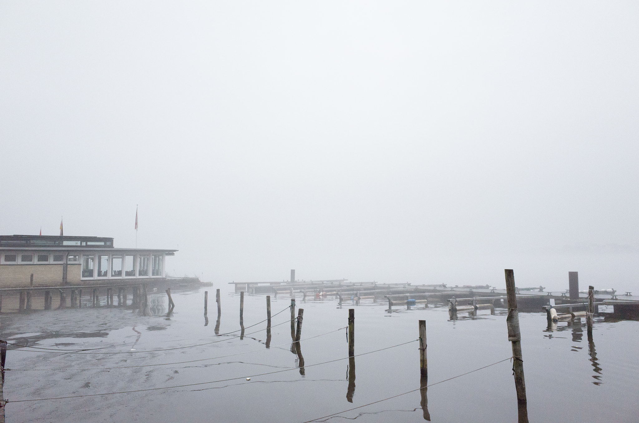 Ricoh GR sample photo. A foggy day at the alster (a rather large former mill pond in the middle of the city) in hamburg photography