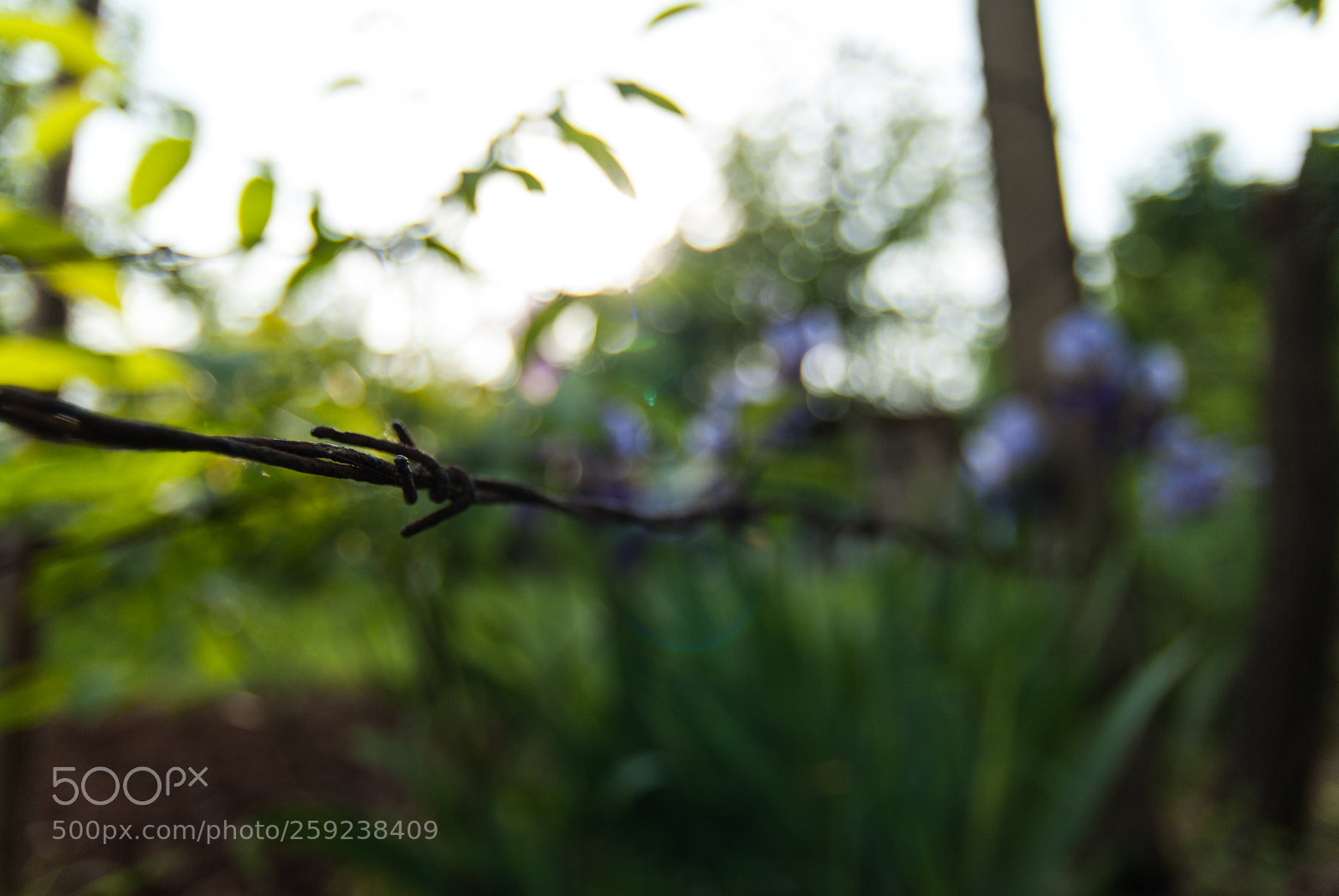 Nikon D200 sample photo. Stuck in world war photography